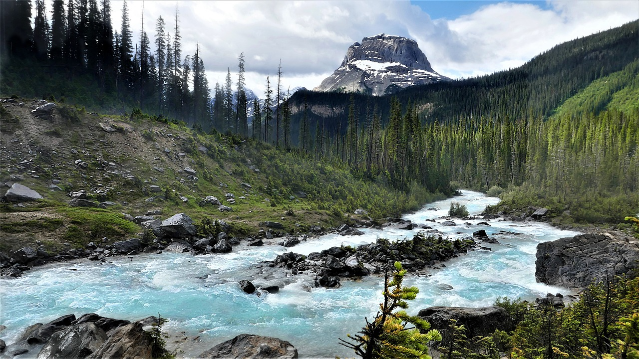 hiking trails at Golden Ears Provincial Park