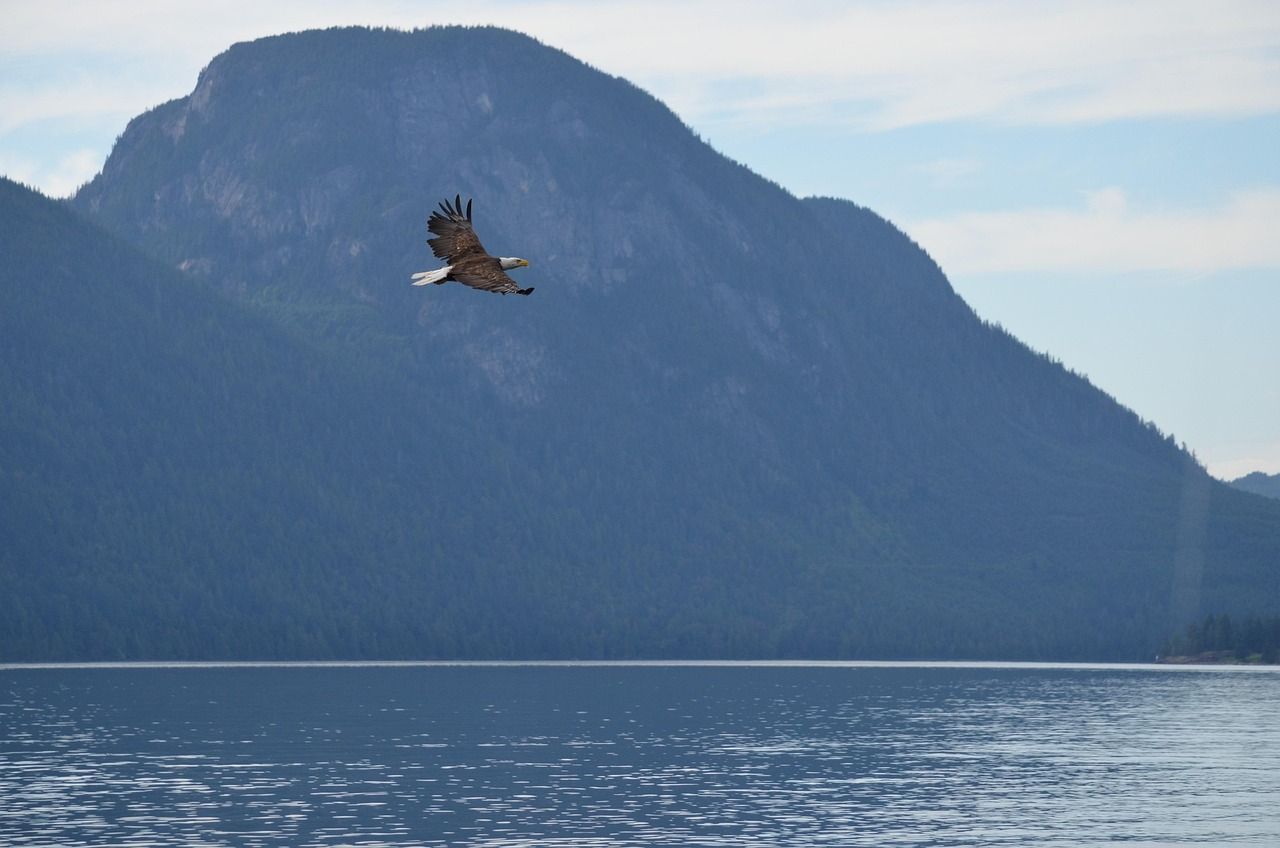 Winter at Golden Ears Provincial Park