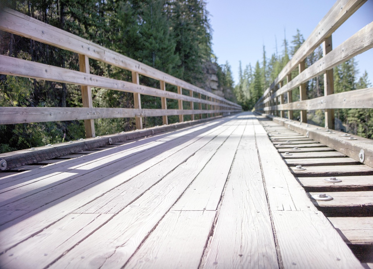 Mike Lake Loop at Golden Ears Provincial Park, British Columbia