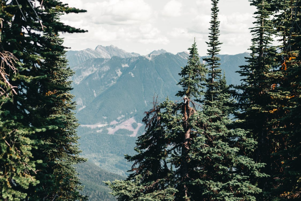 view of mountains at Cultus Lake park