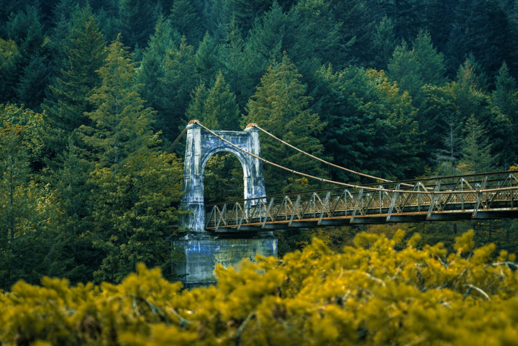 pedestrian bridge in Hope, British Columbia in the summer