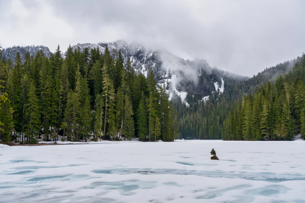 Cultus Lake in the winter